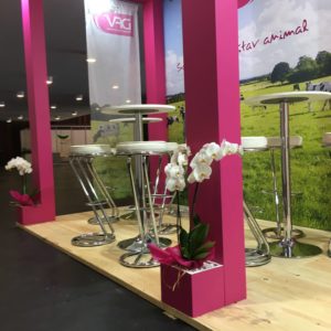 Fair spaces stand DFV